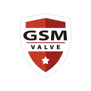 2699 GSM valve logo GSM valve logo 